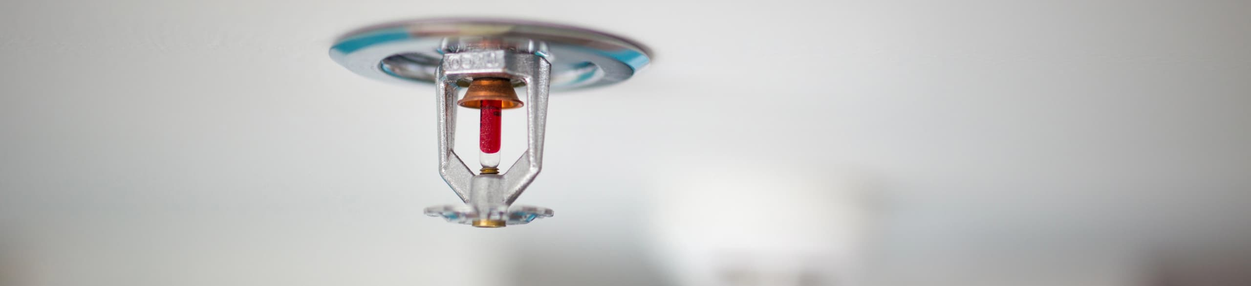 sprinkler system